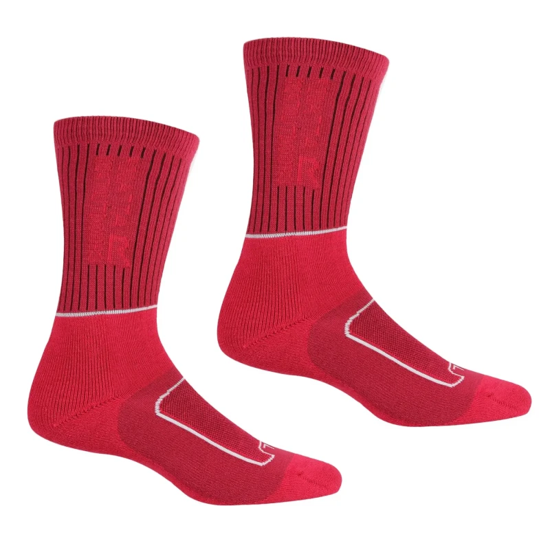 Image of Womens socks Regatta Samaris 2 Season (x2) Rose Female 36/38