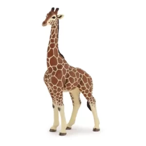 Image of PAPO Wild Animal Kingdom Giraffe Male Toy Figure, Three Years or Above, Multi-colour (50149)
