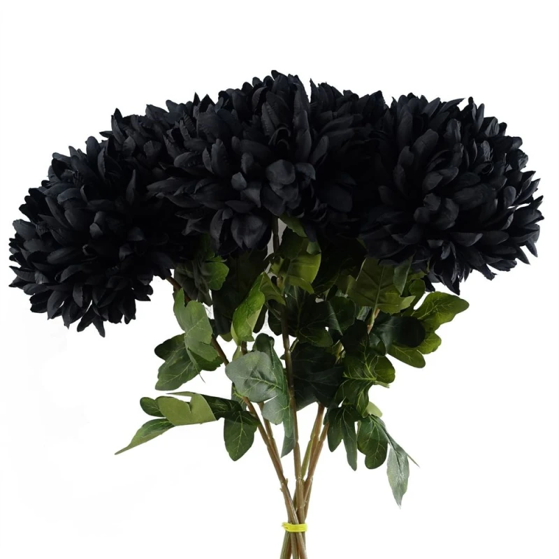 Image of Leaf Pack of 6 x 75cm Extra Large Reflex Chrysanthemum - Black unisex