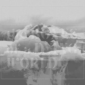 Image of The Bones of a Dying World by If These Trees Could Talk Vinyl Album