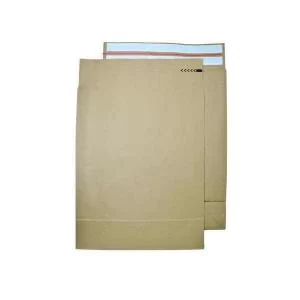 Image of E-Green 570x450 100mm Gusset Peel and Seal Mailer Pack of 100 69117