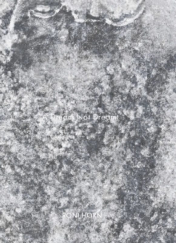 Image of Roni Horn: A Dream Not Dreamt Hardback