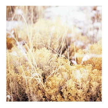 Image of Mamiffer - The Brilliant Tabernacle Vinyl