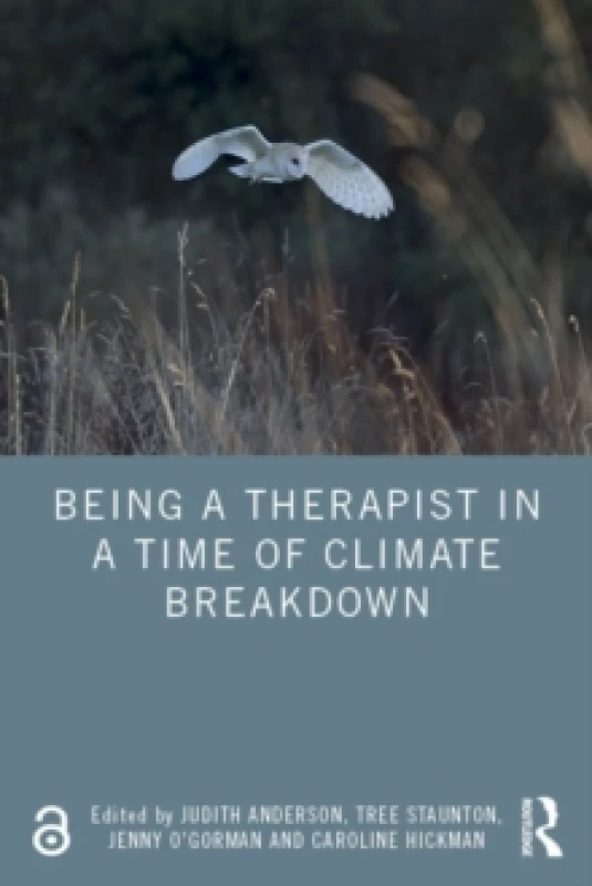 Image of Being a Therapist in a Time of Climate Breakdown Paperback / softback
