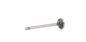 Image of RIDEX Exhaust Valve 1270O0019 OPEL,CHEVROLET,VAUXHALL,Corsa C Schragheck (X01),Meriva A (X03),Zafira A (T98),Astra G CC (T98),Vectra C Caravan (Z02)