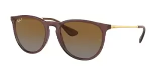 Image of Ray-Ban Sunglasses RB4171 Erika Polarized 6593T5