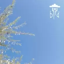 Image of Drop Dead Entertainer