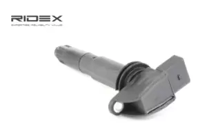 Image of RIDEX Ignition coil 689C0224 Coil pack,Ignition coil pack PORSCHE,Cayenne (9PA),Carrera GT (980)
