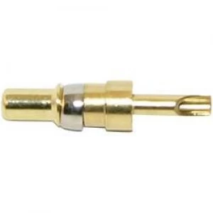 Image of High voltage connector pin AWG min. 10 AWG max. 8 Gold on nickel