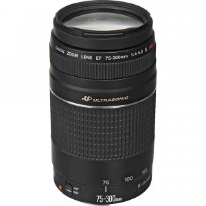 Image of Canon EF 75 300mm f4 5.6 III USM Lens