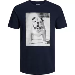 Image of Jack and Jones Bulldog T Shirt Mens - Blue