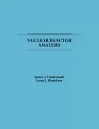 Image of nuclear reactor analysis