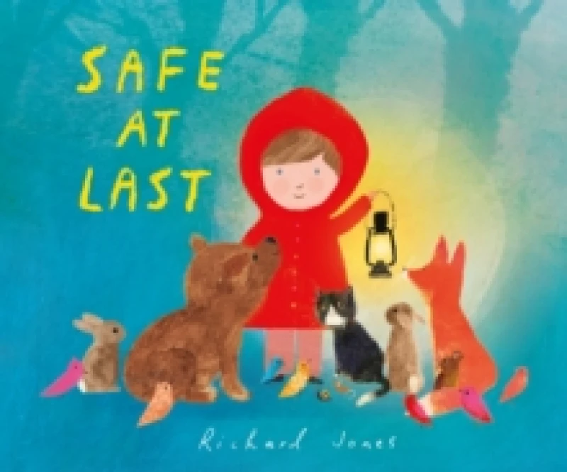 Image of Safe at Last Hardback