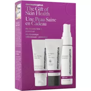 Image of Dermalogica The Dynamic Firm and Protect Set