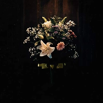 Image of Lastelle - Delicate Vinyl