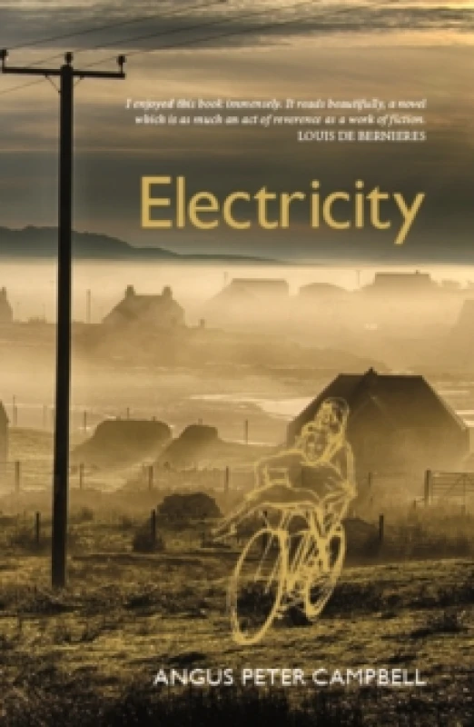 Image of Electricity Paperback / softback