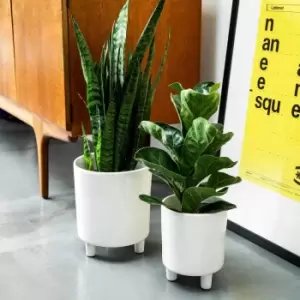 Image of Ivyline Pisa White Planter - H24Cm X D20Cm