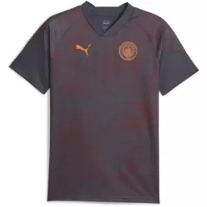 Image of Puma Manchester City Training Shirt 2023 2024 Adults - Grey