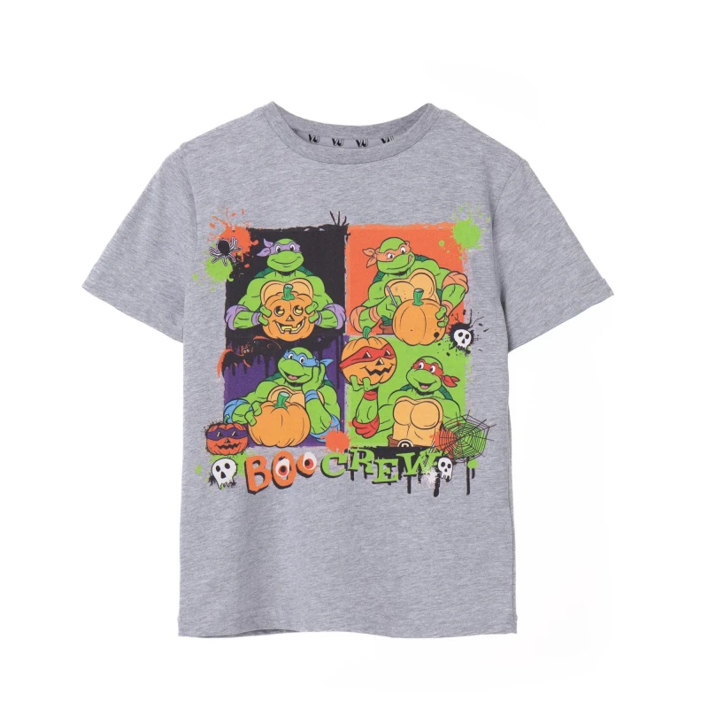 Image of Teenage Mutant Ninja Turtles Short Sleeved T-Shirt Grey