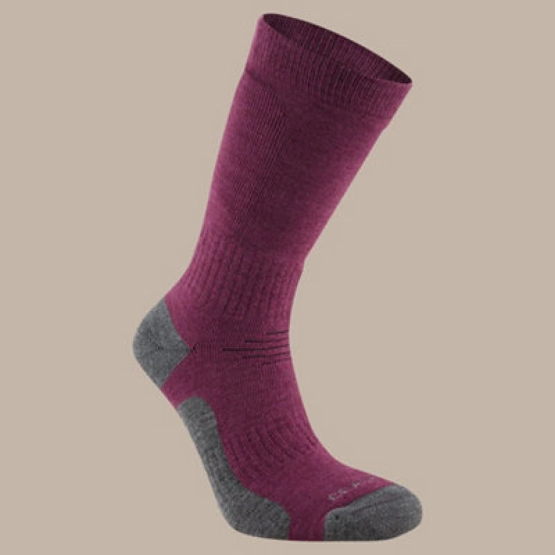 Image of Craghoppers Trek Sock - Pink Pink 7 - 11