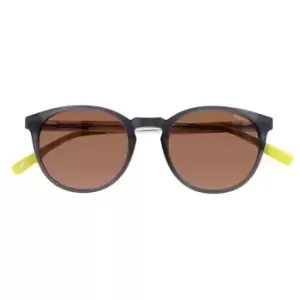 Image of Hackett 3337 S/gls 99 - Grey