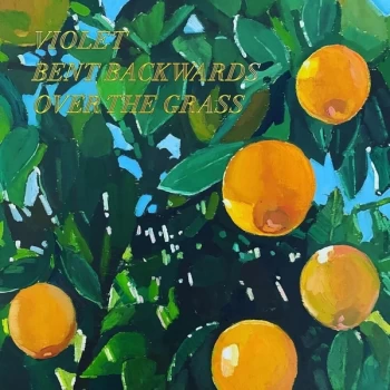 Image of Lana Del Rey - Violet Bent Backwards Over The Grass Vinyl