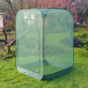 Image of Pop-Up Net Fruit Cage - 1m x 1m x 1.85m High