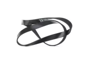 Image of DAYCO V-ribbed belt VW,AUDI,SKODA 6PK1000 04E145933A,04E145933R,4E145933A 5750PF,5750XG,9653204180,9653204380,156708,6019973592,5750PF,5750QP,5750XG