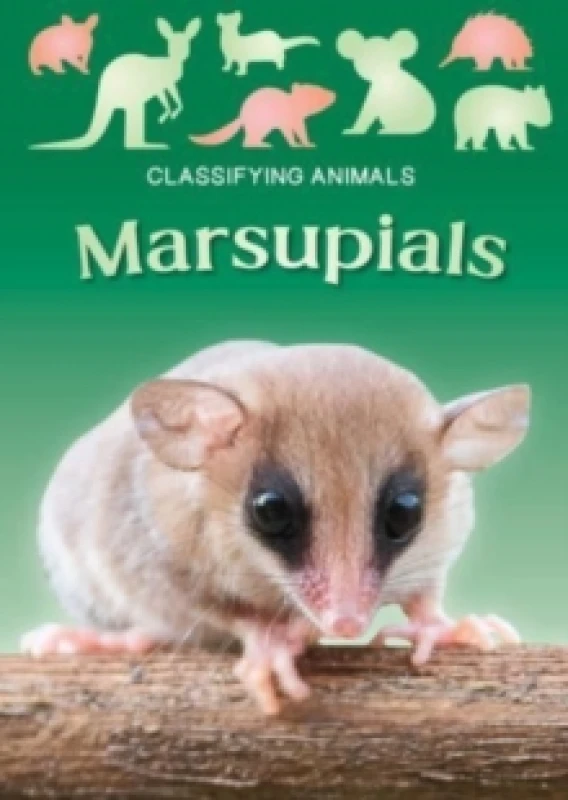 Image of Marsupials Paperback / softback