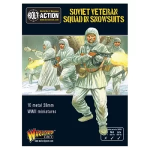 Image of Soviet Veteran Squad in Snowsuits