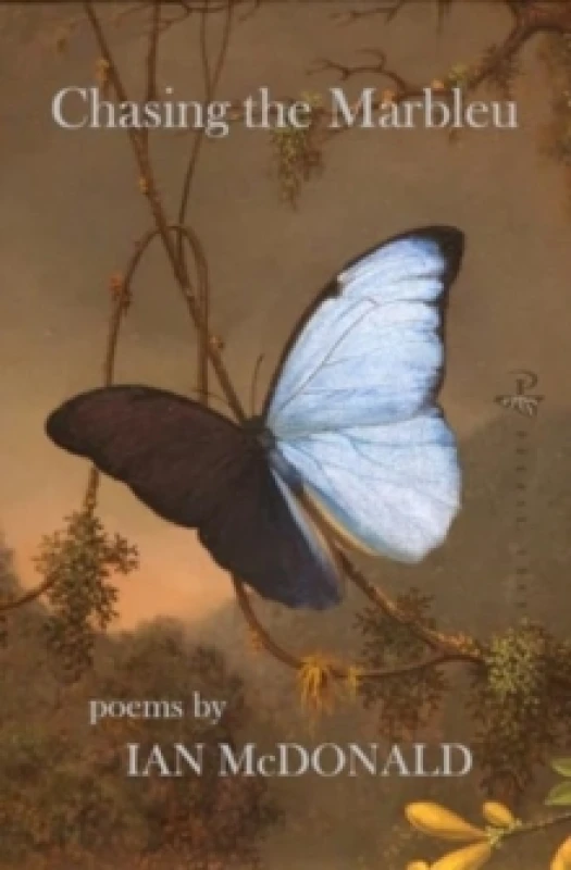 Image of Chasing the Marbleu Paperback / softback