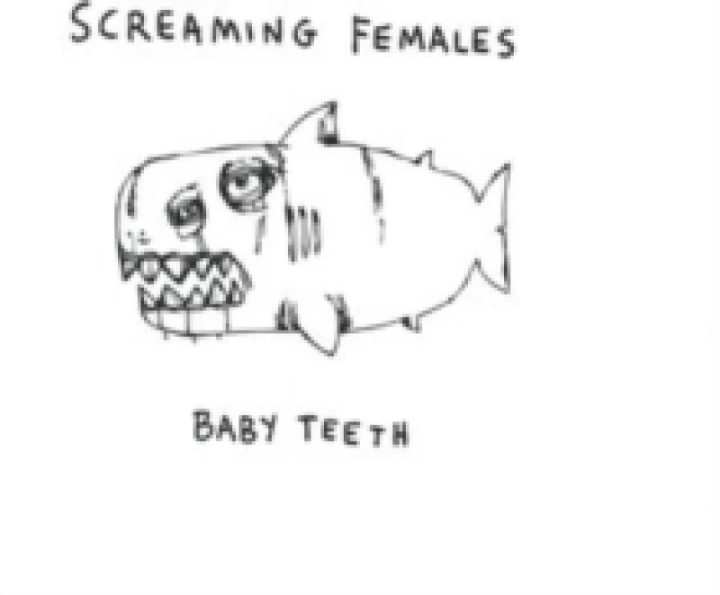Image of Baby teeth Vinyl