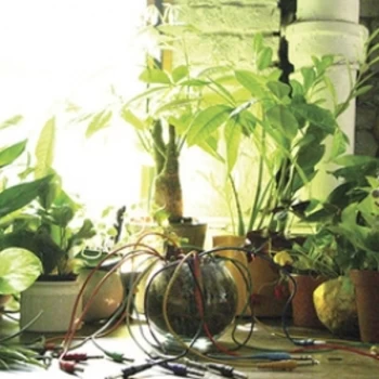 Image of Singer - Mindreading Vinyl