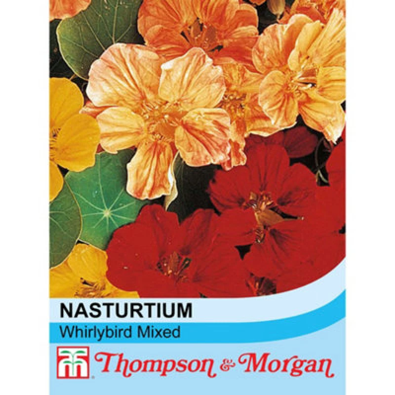 Image of Thompson & Morgan Nasturtium Whirlybird Mixed 1 Packet (25 Seeds)