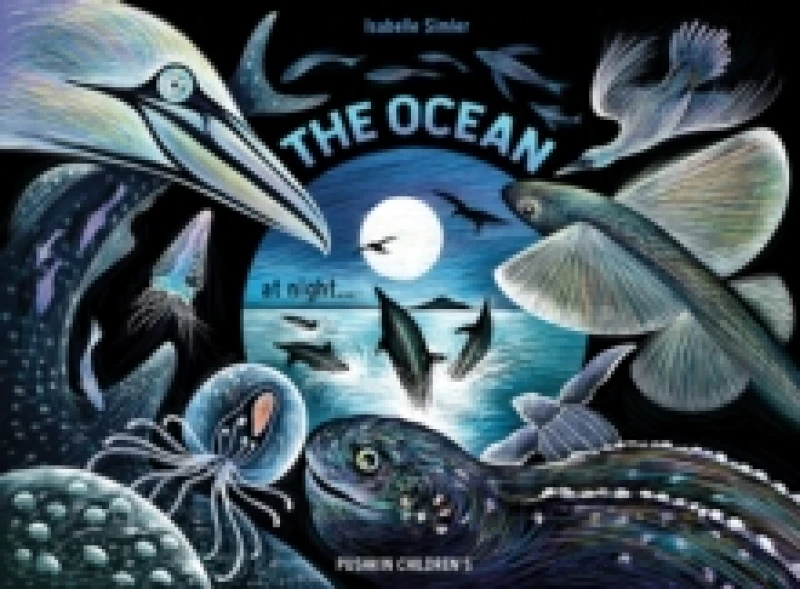 Image of The Ocean at Night Hardback