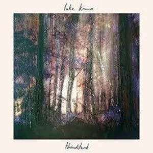 Image of Lake Komo - Thinktank Limited Edition Vinyl