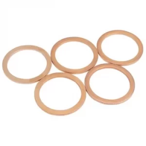 Image of Draper Spare Washer M22 for 24014