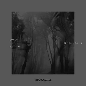 Image of Jonas Kopp - Triptology Vinyl