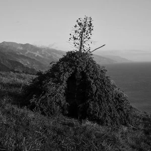 Image of Fletcher Tucker - Cold Spring LP Vinyl