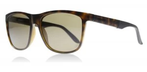 Image of Carrera 8022S Sunglasses Havana DWJ Polariserade 56mm