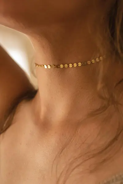Image of Elk & Bloom Dainty Gold 14K Disc Choker Gold