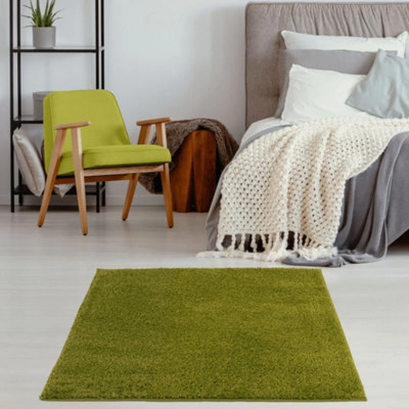 Image of THE RUGS Shaggy Rugs Green Living Room Rug - Soft Fluffy Thick Carpet For Bedrooms & Kitchen Easy To Clean Home Decor Rugs Size: 120cm x 120cm Gre