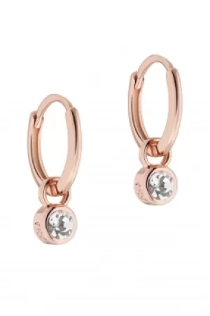 Image of Ted Baker Sinalaa Crystal Huggie Earrings TBJ3028-24-02