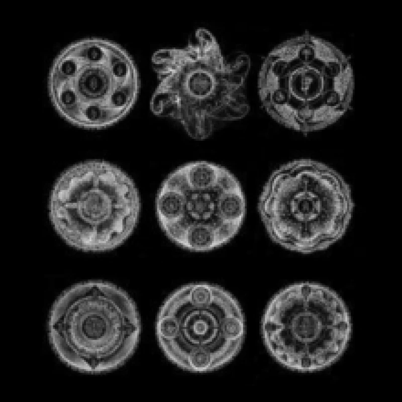 Image of Memoria CD / Album