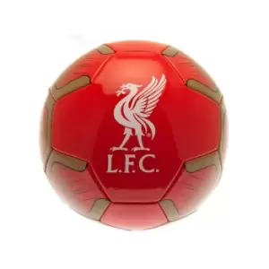 Image of Liverpool Nemesis Ball Size 5
