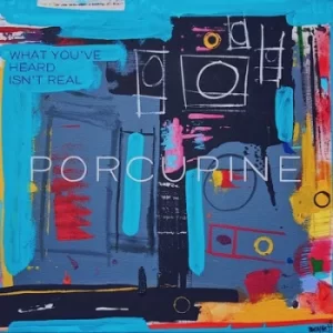 Image of What Youve Heard Isnt Real by Porcupine Vinyl Album