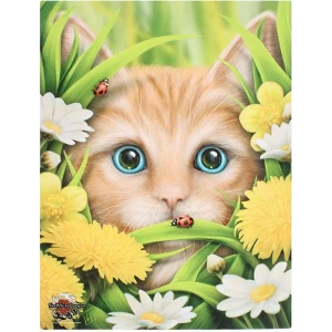 Image of Small Summer Cat Canvas Picture by Linda Jones