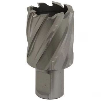 Image of Worksafe RBHSS33S Rotabor Cutter HSS Ø33mm - Cut Depth 25mm