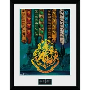 Image of Harry Potter House Flags Framed Collector Print