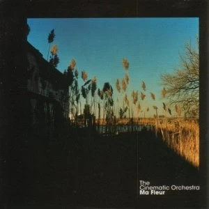 Image of Cinematic Orchestra - Ma Fleur Vinyl